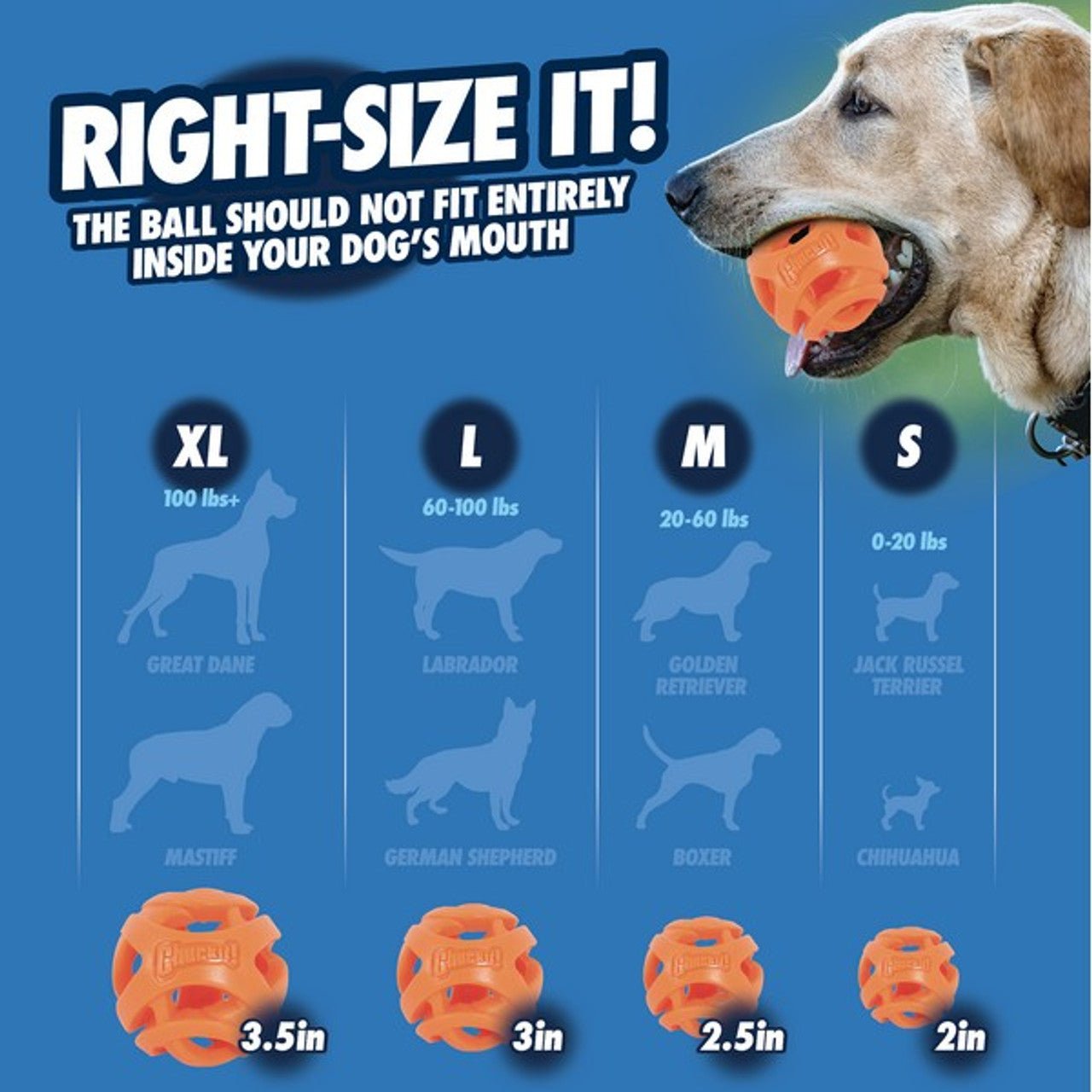 Air Fetch Football (Chuckit!) - SnowPaw Store - Chuck it! - Dog Toys